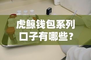 虎鲸钱包系列口子有哪些？实测推荐3个靠谱渠道