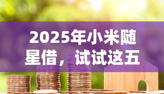 2025年小米随星借，试试这五个新上线贷款平台门槛低口子