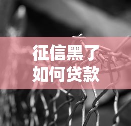 征信黑了如何贷款？三步解决资金难题