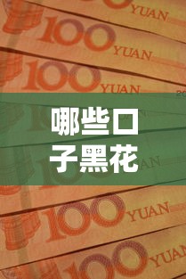 哪些口子黑花了可以借款？这些平台或许能帮你解决资金难题