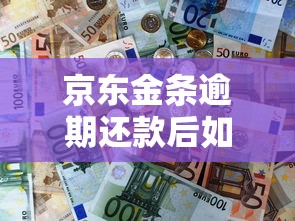 京东金条逾期还款后如何处理？这些方法帮你减少损失