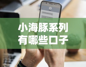 小海豚系列有哪些口子？真实评测+额度高到账快！