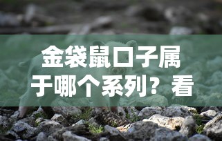 金袋鼠口子属于哪个系列？看完这篇彻底搞懂贷款产品分类