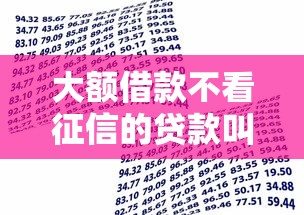 大额借款不看征信的贷款叫什么？这几种方案或许能帮到你