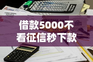 借款5000不看征信秒下款？试试这几个平台快速到账