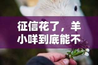征信花了，羊小咩到底能不能下款？这几点或许能帮到你