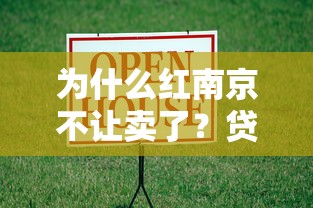 为什么红南京不让卖了？贷款用户必看的替代方案解析