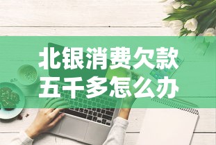 北银消费欠款五千多怎么办？亲身经历分享还款技巧