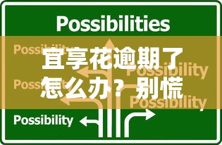 2025年muse信用卡被拒：看看这五个p2p网贷平台