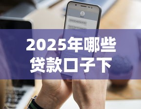 2025年哪些贷款口子下款率高？这5类渠道成功率超90%