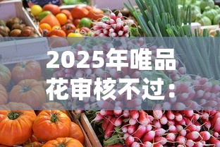 2025年唯品花审核不过：试试这五个不用征信的贷款平台