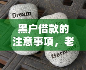 黑户借款的注意事项，老铁们这些坑千万别踩！