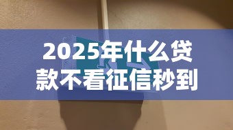 2025年什么贷款不看征信秒到，罗列五个黑户能下200的小贷口子
