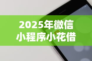 2025年微信小程序小花借钱？试试这5个黑户都能下的软件
