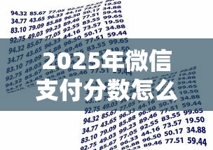 2025年微信支付分数怎么查询：看看这五个APP容易借款1万块的软件