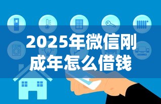 2025年微信刚成年怎么借钱，罗列五个借款平台正规可靠安全利息低