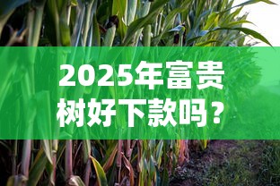 2025年富贵树好下款吗？罗列5个最好借钱的平台