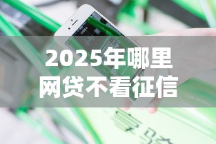 2025年哪里网贷不看征信报告：分享5个黑户借钱平台