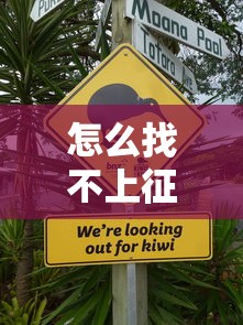怎么找不上征信的贷款吗？这些方法或许能帮到你