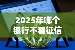 2025年哪个银行不看征信查询：梳理5个美图e钱包一样的平台