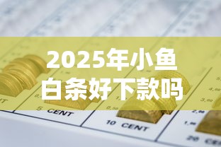 2025年小鱼白条好下款吗，试试这五个网贷平台一定能借到钱