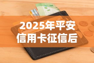 2025年平安信用卡征信后被拒，整合5个不看负债秒下款的网贷平台