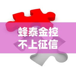 蜂泰金控不上征信吗？这些细节可能被忽略了