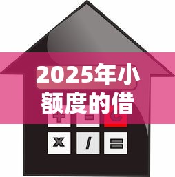 2025年小额度的借款平台：整合五个平台贷款被骗了怎么办