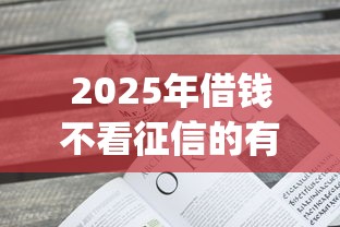 2025年借钱不看征信的有哪些：看看这5个贷款10万比较容易的app