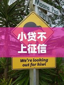 小贷不上征信可以吗？这5个真相你必须知道
