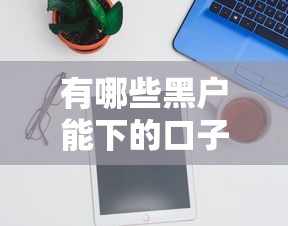 有哪些黑户能下的口子软件？实测3个审核松的平台
