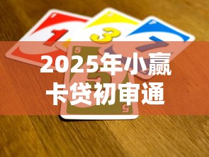 2025年小赢卡贷初审通过被拒：公布5个公司贷款平台