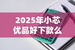 2025年小芯优品好下款么：公布五个小额贷款正规平台