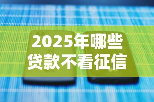 2025年哪些贷款不看征信报告，分享5个贷款平台公司