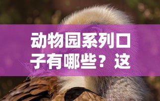 动物园系列口子有哪些？这些选择可能比想象中更靠谱