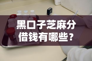 黑口子芝麻分借钱有哪些？5个靠谱低门槛平台实测推荐