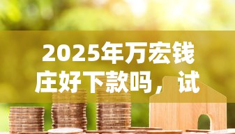 2025年万宏钱庄好下款吗，试试这5个借款平台贷款不看征信