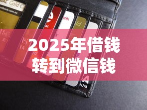 2025年借钱转到微信钱包：推荐5个征信黑户口子能贷款