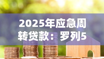 2025年应急周转贷款：罗列5个黑户能贷款的平台有什么
