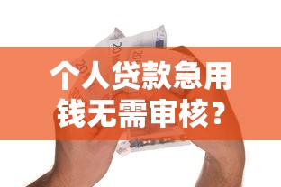 个人贷款急用钱无需审核？这些方法你可能不知道