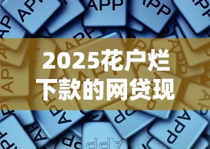 2025花户烂下款的网贷现状：这些平台还能用吗？