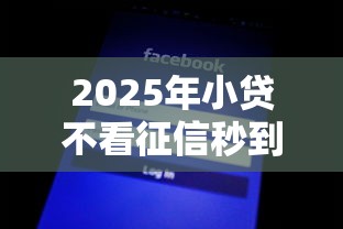 2025年小贷不看征信秒到？这些变化你必须知道