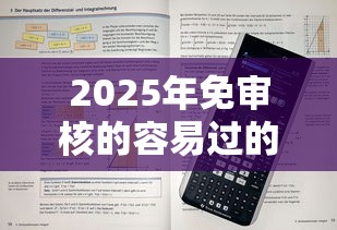 2025年免审核的容易过的贷款能下款吗：看看这5个没看征信的平台