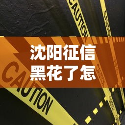 沈阳征信黑花了怎么办房贷？试试这几招或许能解决