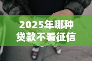 2025年哪种贷款不看征信记录，梳理五个没有套路的网贷平台