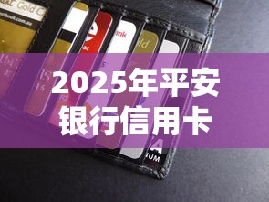2025年平安银行信用卡贷款不过：看看这5个交钱必通过的借钱平台
