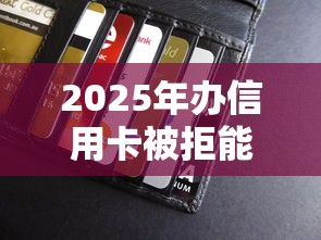 2025年办信用卡被拒能贷款吗:分享5个贷款服务平台 2025年办信用卡被拒能贷款吗:分享5个贷款服务平台