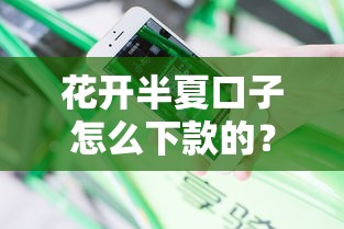 花开半夏口子怎么下款的？真实用户分享下款流程+避坑指南