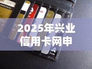 2025年兴业信用卡网申被拒：公布5个48期贷款平台