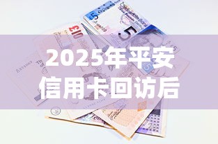 2025年平安信用卡回访后被拒：看看这五个无视黑白户秒下款口子app